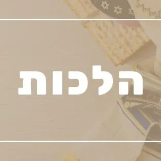 2 הלכות ביום