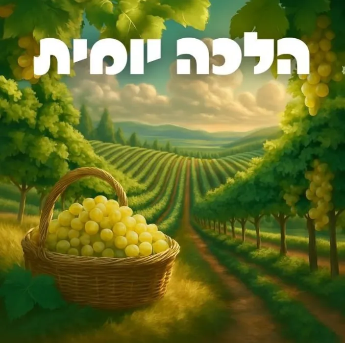 הלכה יומית