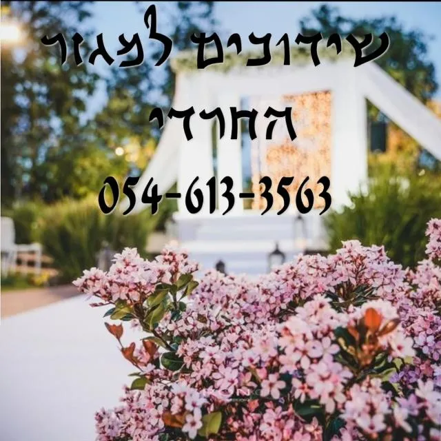שידוכים לחרדים עד גיל 26