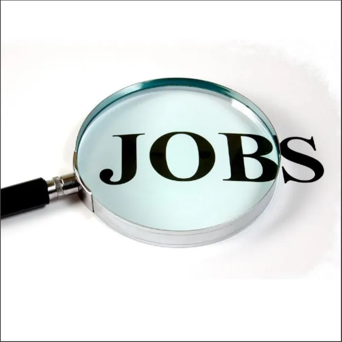 Dynamics 365 -JOBS