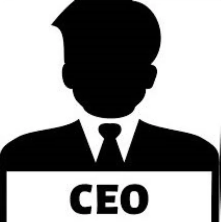 CEO & GM - Non Hi-Tech 2